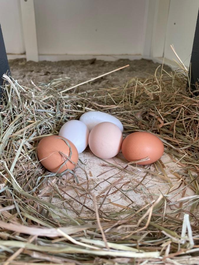 B&B Bagnes Versegeres Eksteriør bilde